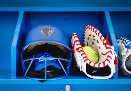 Softball Softball StockStock