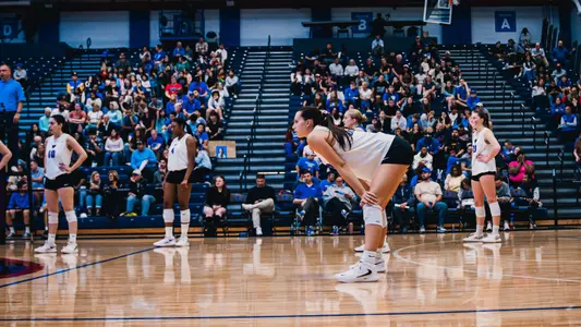DePaul volleyball action