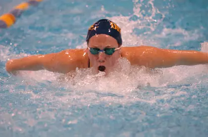 Tigers Top the Dragons, 171-115 Image