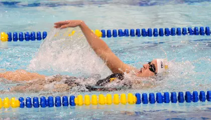 Women's Swimming & Diving Defeats Providence, 136-95 Image
