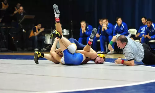 wrestling