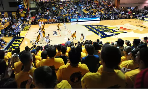 DAC Pack Court Shot