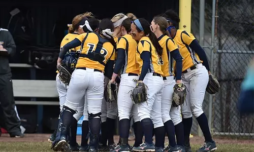 softball huddle