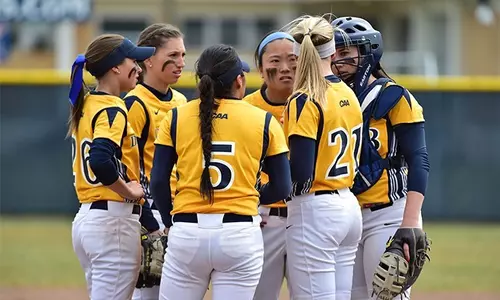 softball huddle