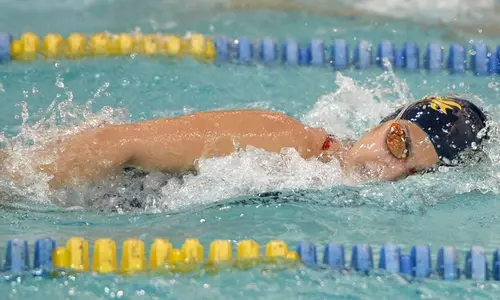 Aubrey Murray 2014-15 vs. UD & NU