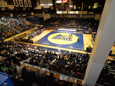 wrestling mat