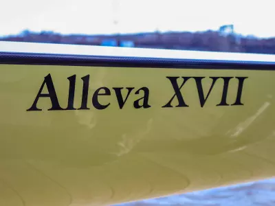 Alleva XVII