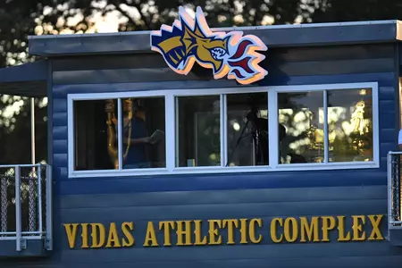 Vidas FIeld