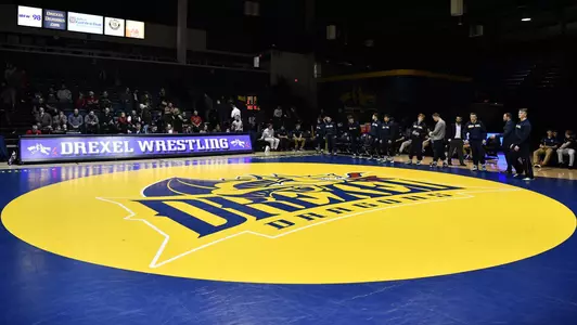 Wrestling Mat