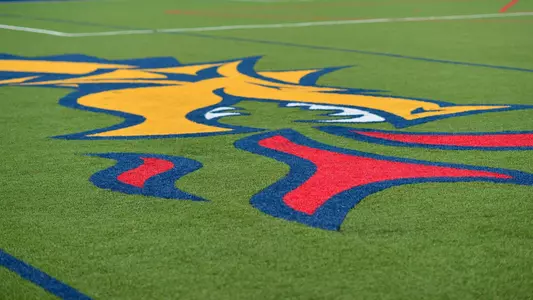 soccer field general dragon