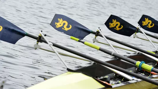 Rowing Oars