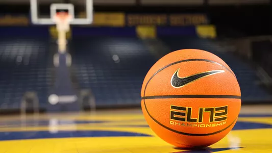 Ball on Court