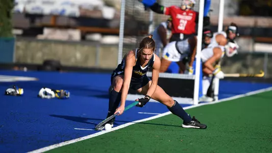 DI LEVA VS DELAWARE