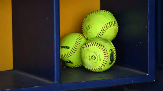 Softball Generic 5