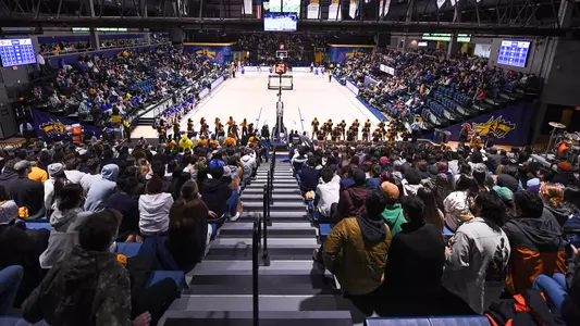 UD Crowd 5