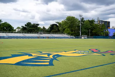 Vidas Athletic Complex