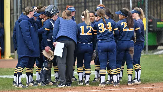 invest softball