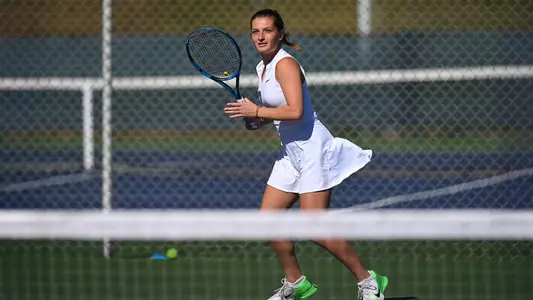 wten