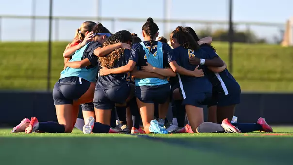 WSOC Group