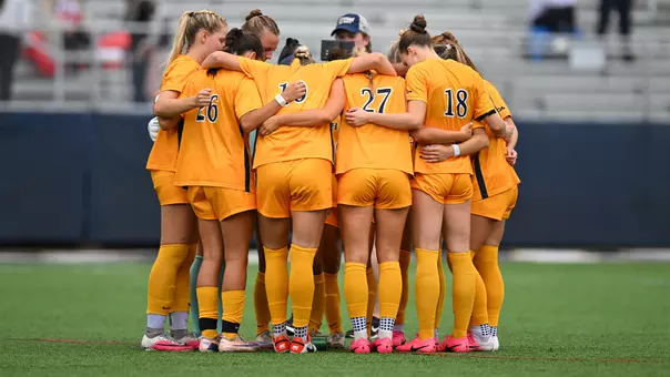 wsoc
