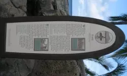 Surfboards like this lined Waikiki Beach and explained the history of the beach.