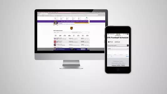 Internet Sports Schedules