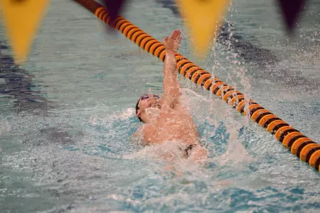 Boleck DePawlikowski