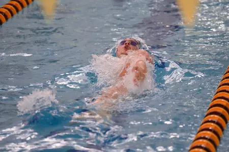 Boleck DePawlikowski