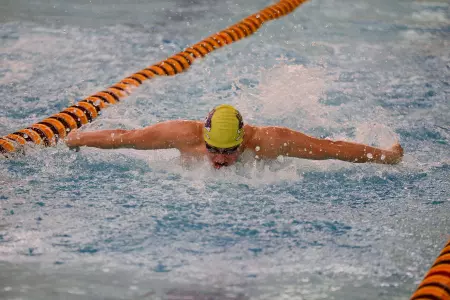 Boleck DePawlikowski