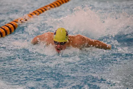 Boleck DePawlikowski