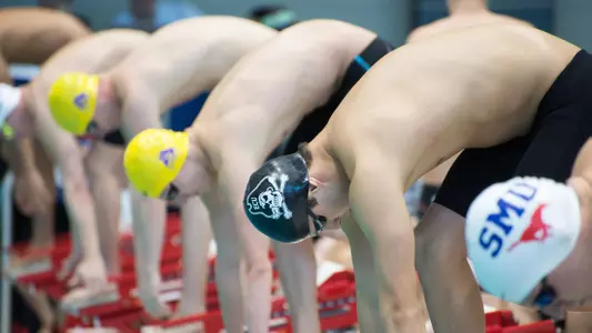 American Swimming & Diving '17