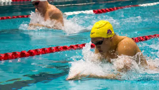 American Swimming & Diving '17