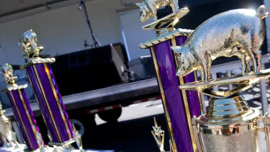 Pigskin Pigout Trophy
