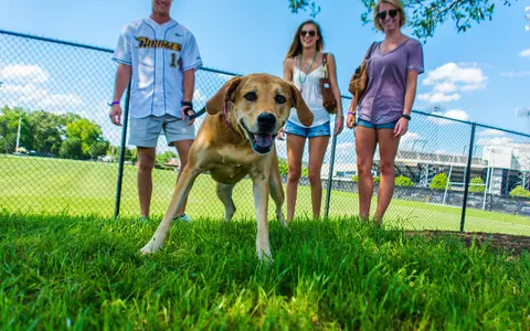 2016 Bark In The Park