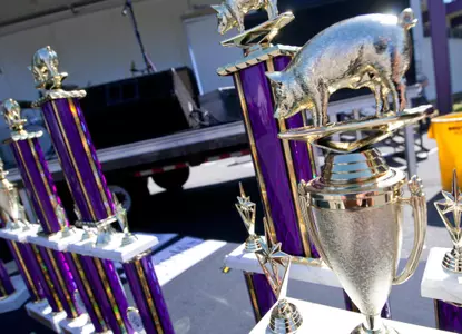 Pig Out Trophy