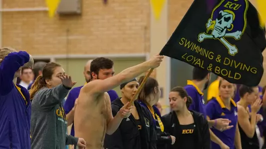 Swimming Diving Flag