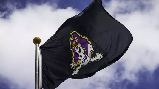 Pirate Flag