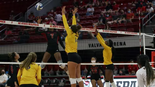 Volleyball at NC State