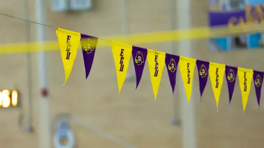 Swim Flags 2024