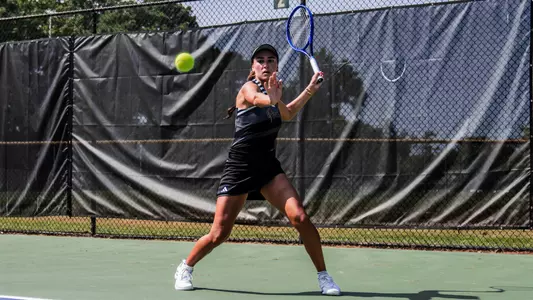 LibertyHiddenDualPreview24