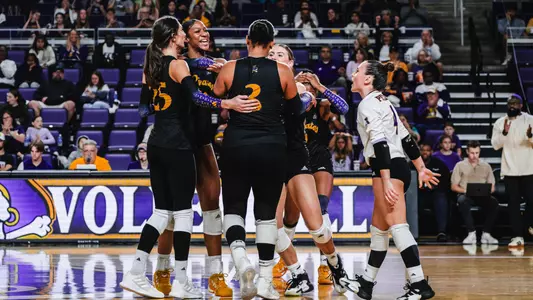 CharlotteTemplePreview24