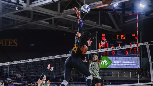 AllAACVolleyballTeams24