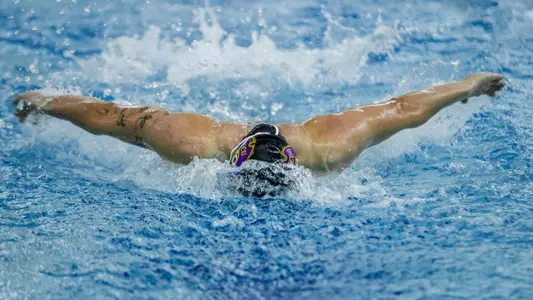 Swimmer 2024