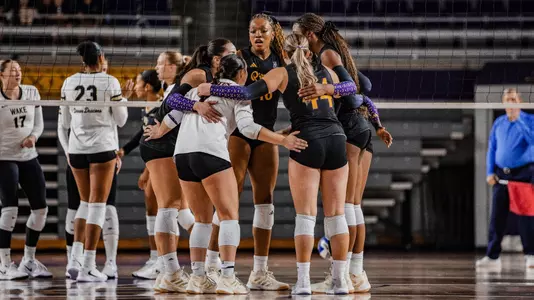 Volleyball Group Shot