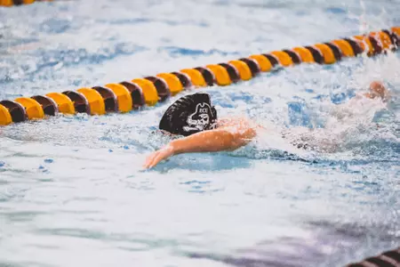 Swim and Dive 2025-26 Season Opener Preview