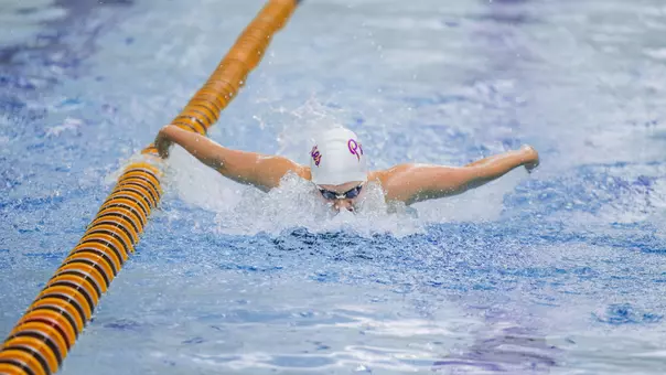 Georgia Southern Preview