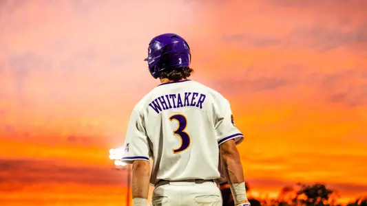 Whitaker