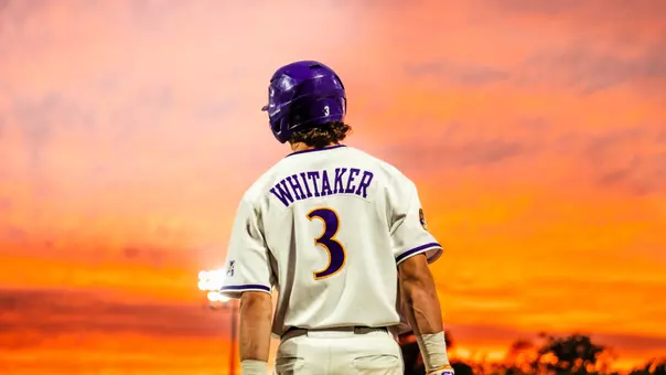 Whitaker