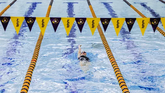 Swim and Dive Newcomer Release