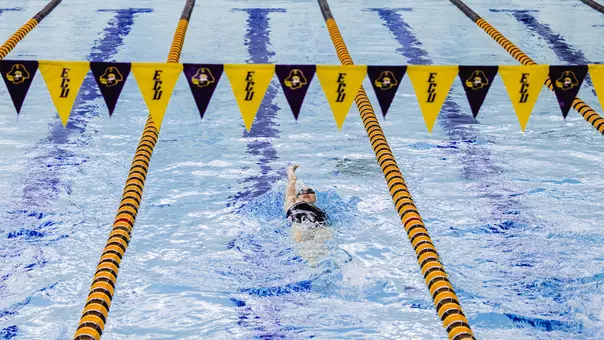 Swim and Dive Newcomer Release